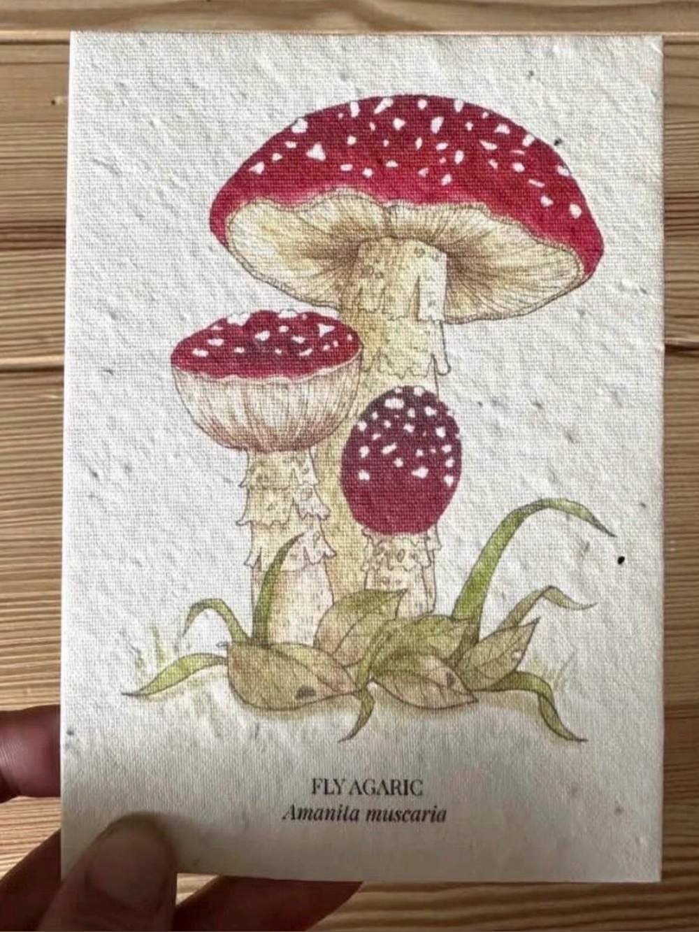 Agaric  Plantable Wildflower Seed Greeting Card
